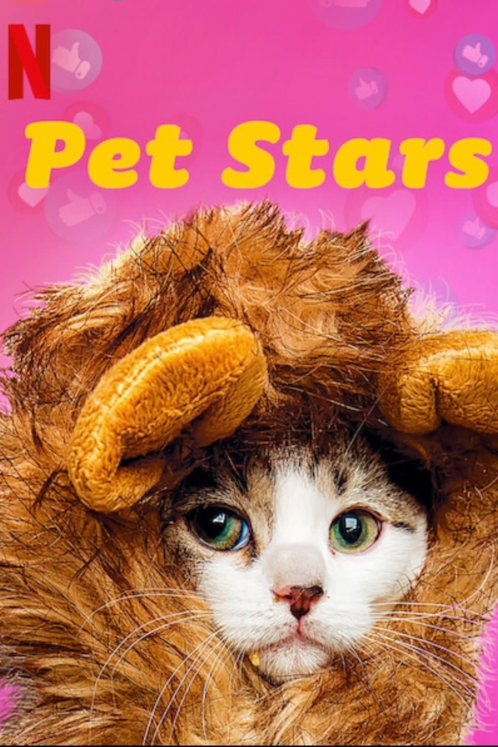 Pet Stars